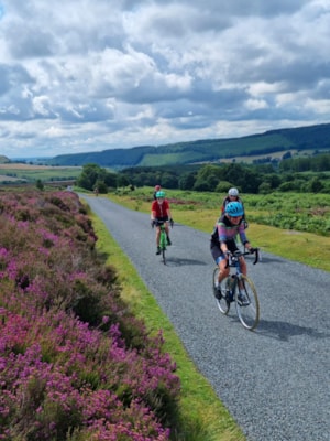 North York Moors