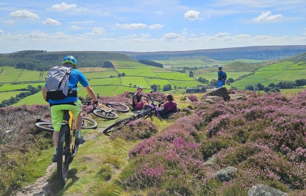 Heather in Bloom on the North York Moors