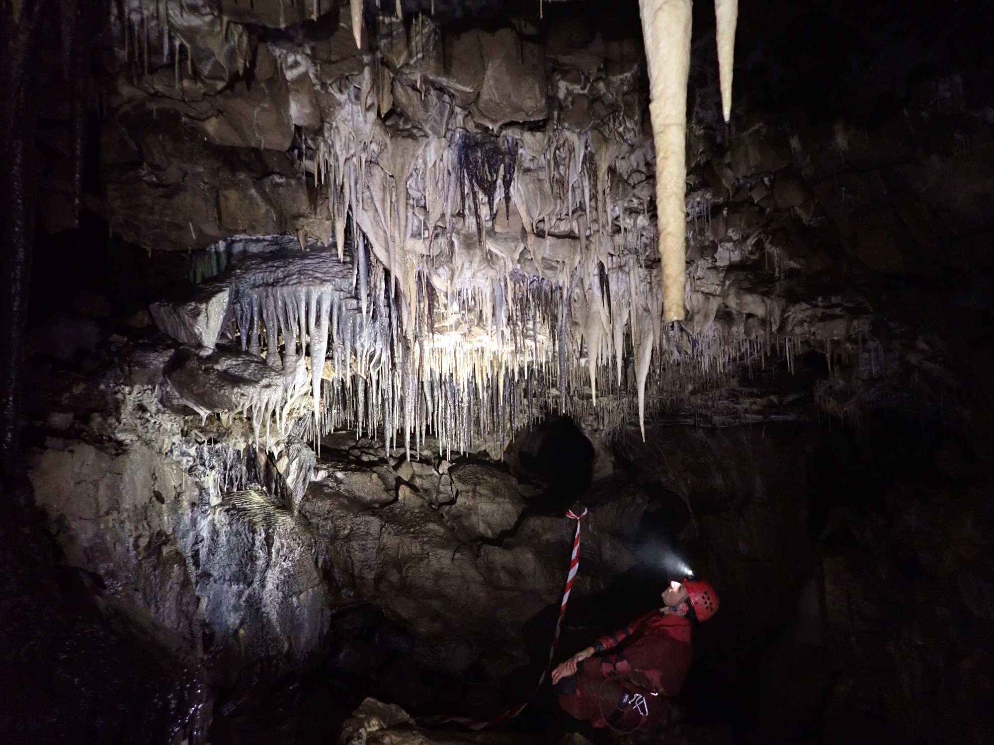 Pool Sink to Wretched Rabbit