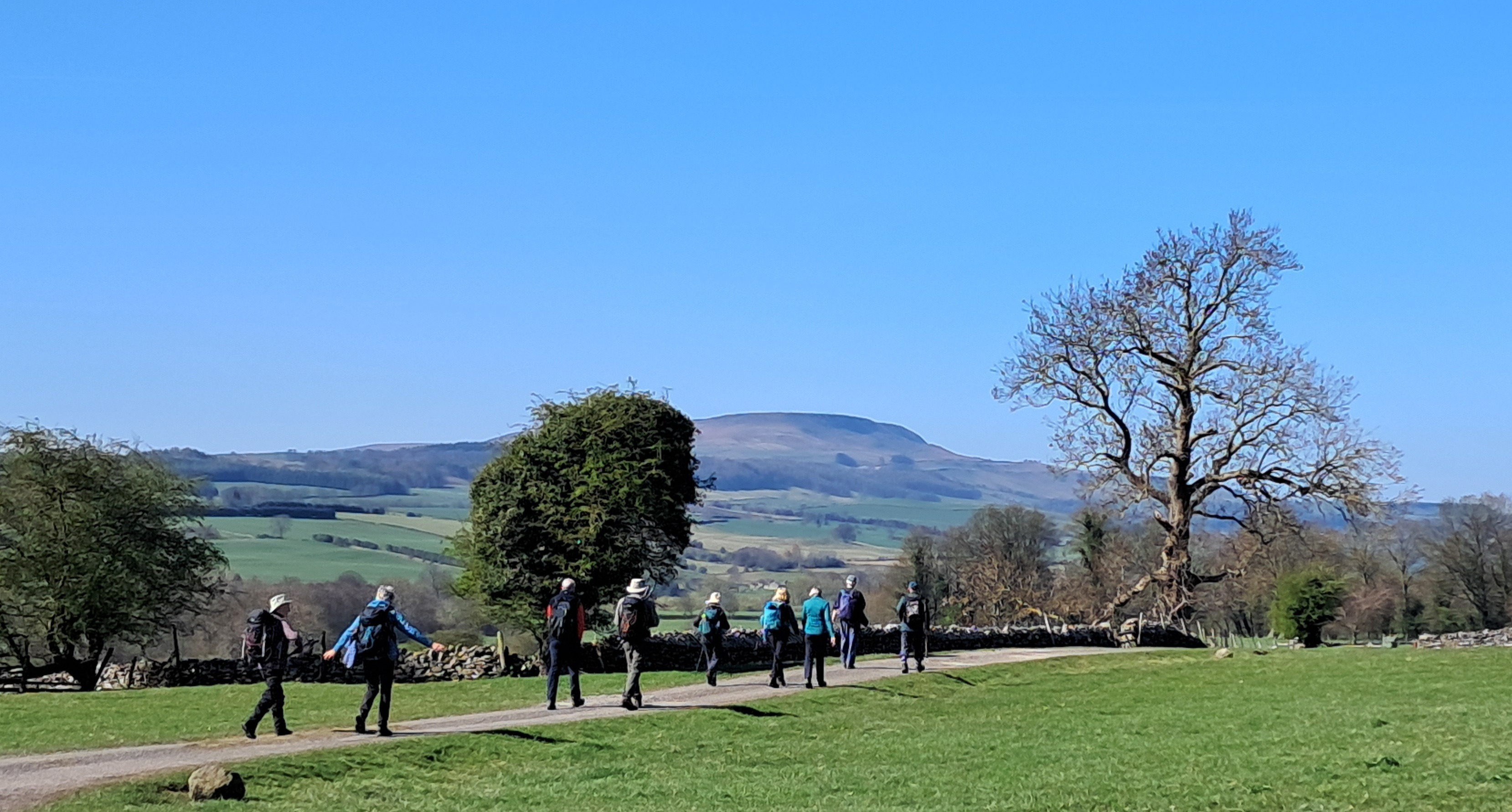 Wensley and Middleham Bridge Walk