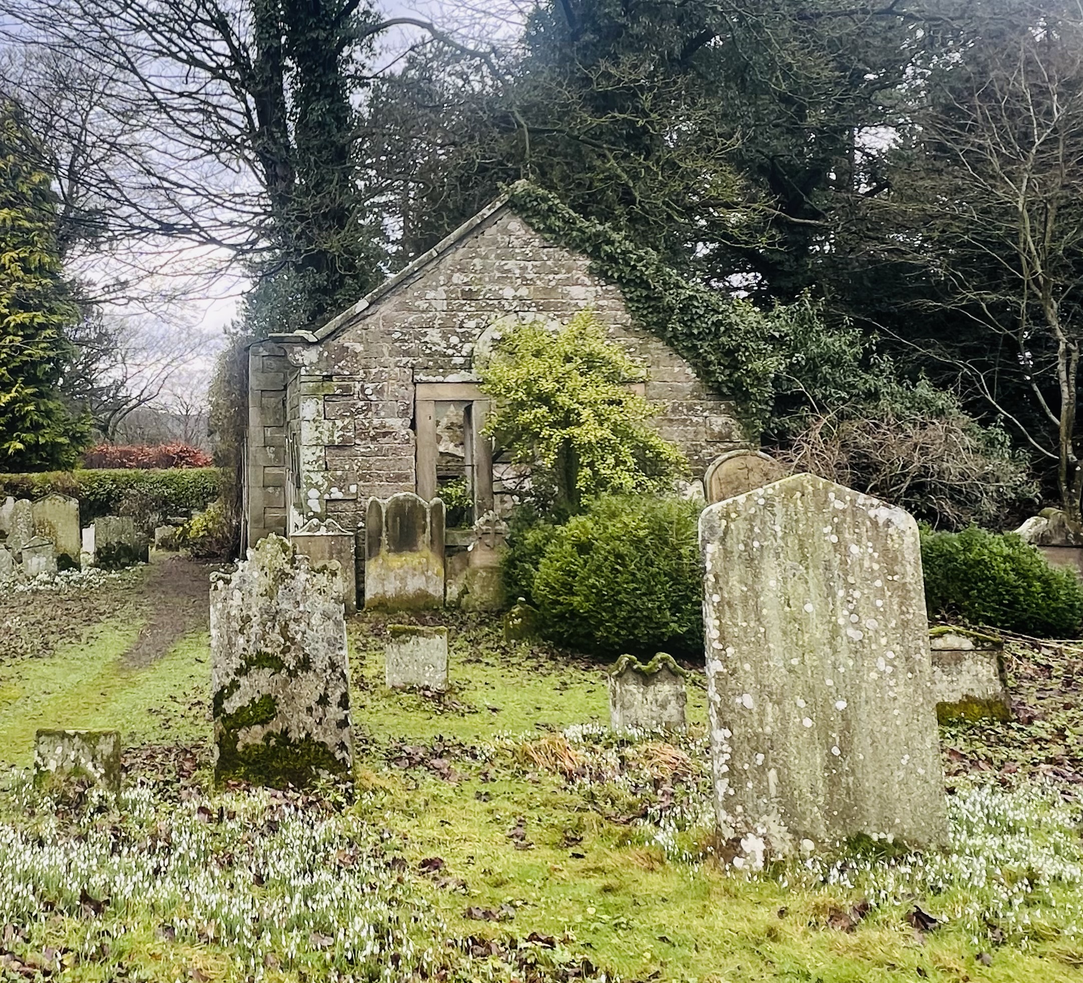 The Walk That Went Ahead! Cotherstone to Eggleston Hall Garden